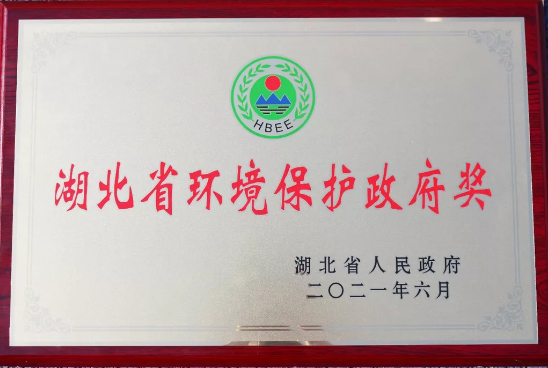 ʡα
